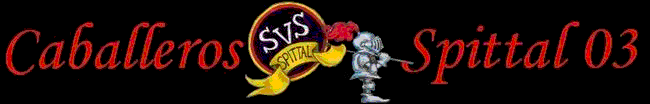 Forum der Caballeros Spittal 03